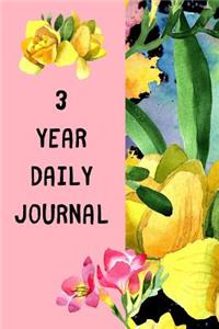 3 Year Daily Journal