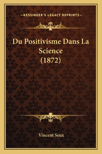 Du Positivisme Dans La Science (1872)