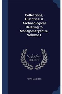 Collections, Historical & Archaeological Relating to Montgomeryshire, Volume 1