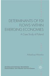 Determinants of FDI Flows Within Emerging Economies