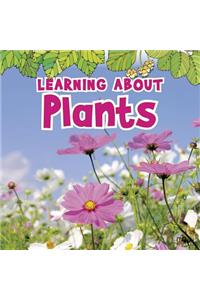 Learning about Plants
