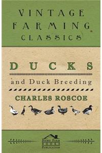 Ducks and Duck Breeding