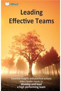 Leading Effective Teams