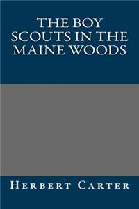 The Boy Scouts in the Maine Woods