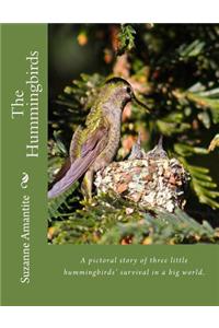 The Hummingbirds
