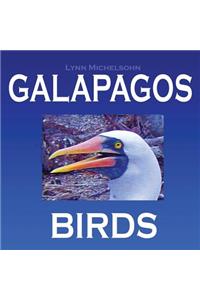 Galapagos Birds