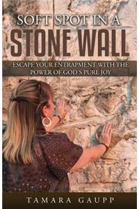 Soft Spot in a Stone Wall