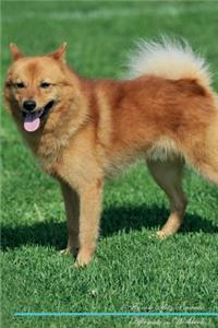 Finnish Spitz Affirmations Workbook Finnish Spitz Presents