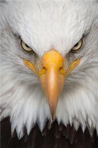 Eagle Portrait Journal