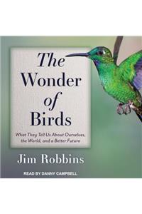 The Wonder of Birds