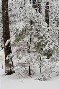 Winter Picture Journal