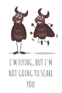 I'm flying, but I'm not going to scare you