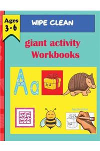 wipe clean giant activity workbook (ages 3 -6)