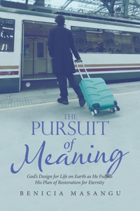 Pursuit of Meaning