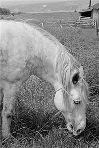 2020 Daily Planner Horse Photo Equine Grazing Dappled Grey 388 Pages