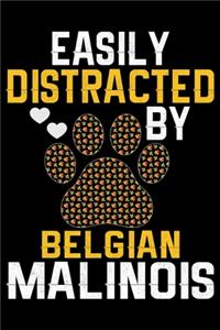 Easily Distracted by Belgian Malinois