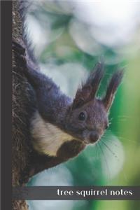 tree squirrel notes
