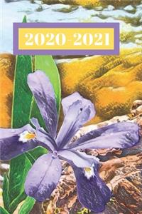 Purple Wild Flower Iris Dated Calendar Planner 2 years To-Do Lists, Tasks, Notes Appointments for Women