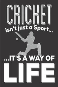 Cricket Isn't Just A Sport It's A Way Of Life