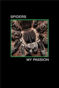 Spiders my Passion