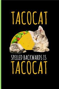 Tacocat Spellbackwards Is Tacocat