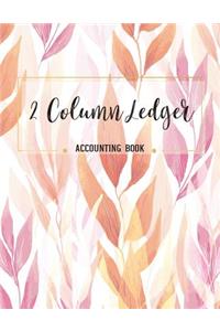 2 Column Ledger Accounting Book