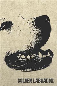 Golden Labrador Retriever Notebook