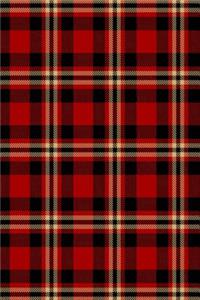 2019 Daily Planner Lumberjack Plaid Tartan Red Black Tan 384 Pages