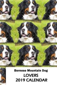 Bernese Mountain Dog Lovers 2019 Calendar