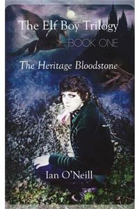 Elf Boy Trilogy, Book One
