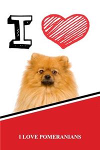 I Love Pomeranians