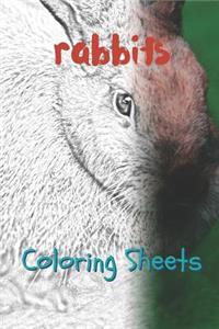 Rabbit Coloring Sheets