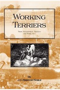 WORKING TERRIERS - Their Management, Training and Work, Etc.