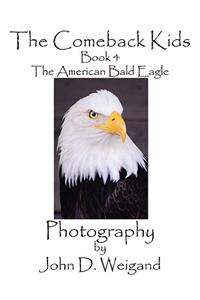 Comeback Kids, Book 4, The American Bald Eagle