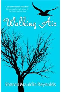 Walking Air