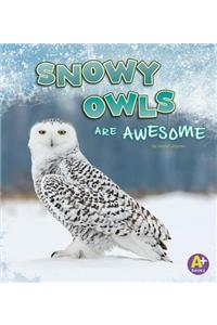 Snowy Owls are Awesome (Polar Animals)
