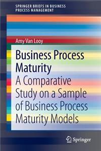 Business Process Maturity