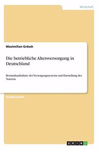 betriebliche Altersversorgung in Deutschland: Bestandsaufnahme des Versorgungssystems und Darstellung des Nutzens