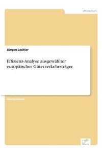 Effizienz-Analyse ausgewählter europäischer Güterverkehrsträger