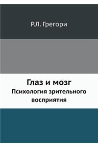 Глаз и мозг