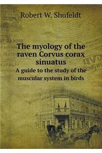 The Myology of the Raven Corvus Corax Sinuatus a Guide to the Study of the Muscular System in Birds