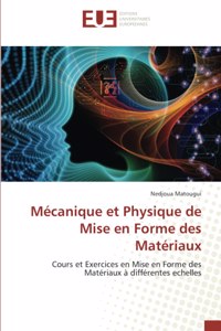 Mécanique et Physique de Mise en Forme des Matériaux