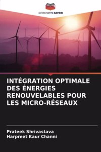 Intégration Optimale Des Énergies Renouvelables Pour Les Micro-Réseaux