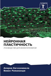 НЕЙРОННАЯ ПЛАСТИЧНОСТЬ