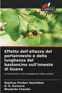 Effetto dell'altezza del portainnesto e della lunghezza del bastoncino sull'innesto di Guava