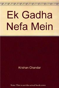 Ek Gadha Nefa Mein