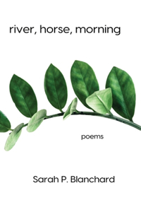 river, horse, morning