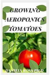 Growing Aeroponics Tomatoes