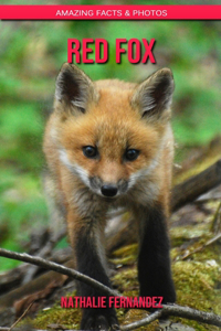 Red Fox