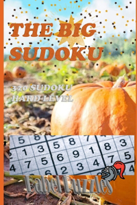Big Sudoku